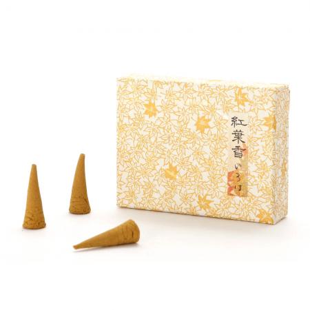 いろは コーン15個入り